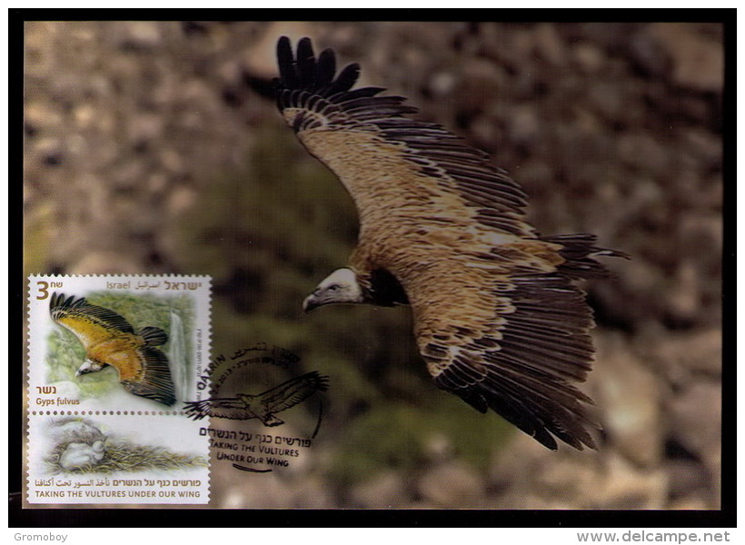 Israel 2013 Griffon Vulture MC Maximum Card (private I ) - Maximumkarten