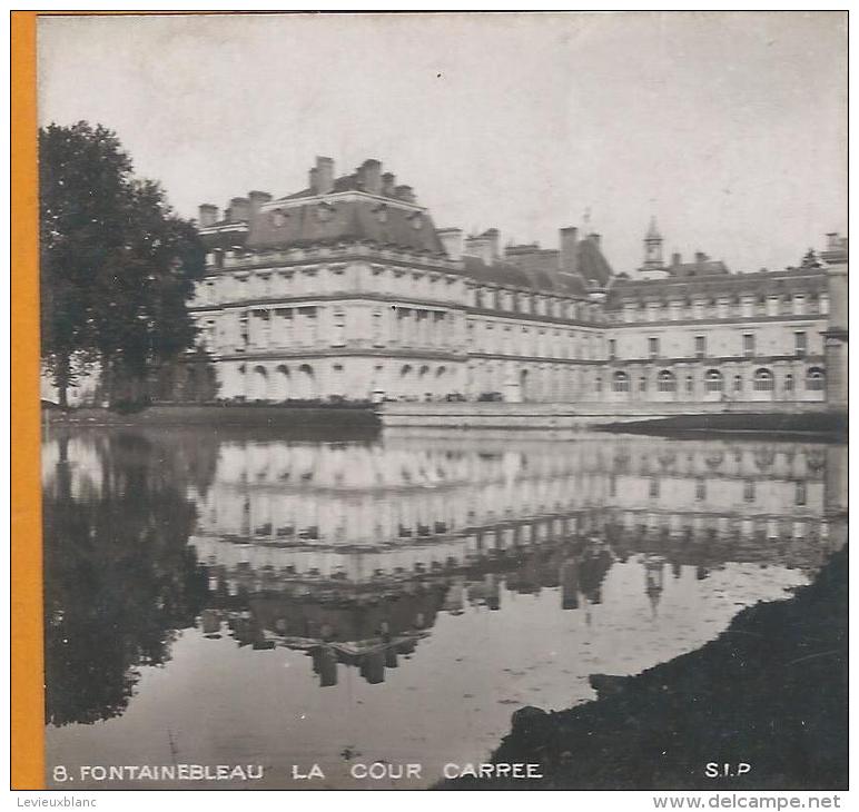 SIP/ Fontainebleau/La Cour Carrée /Vers 1900-1905  STE4 - Photos Stéréoscopiques