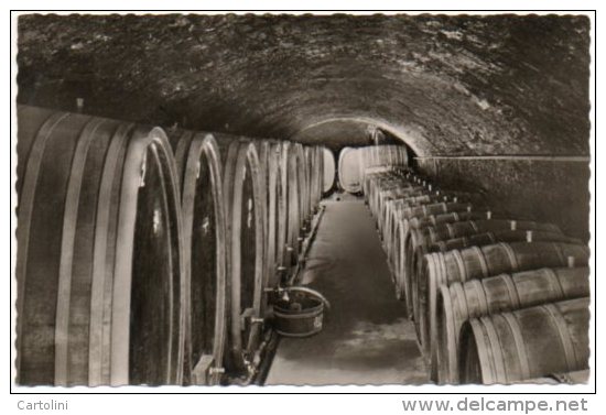 Mayschoss Ahr Wijnkelder Caves Wine Cellar  Wijn Vin Wine Wein Keller - Vignes