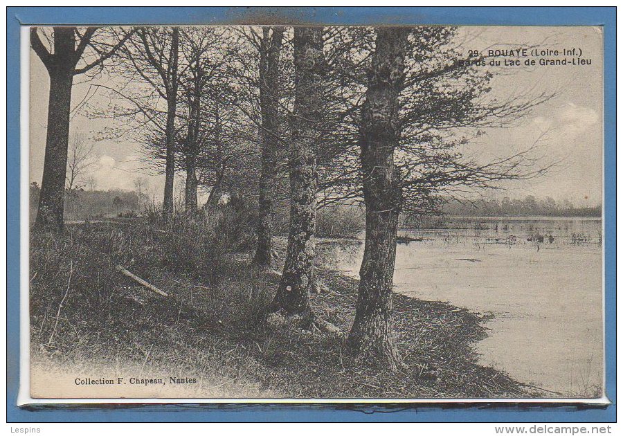 44 - BOUAYE --   Bords Du Lac De Grand Lieu - Bouaye