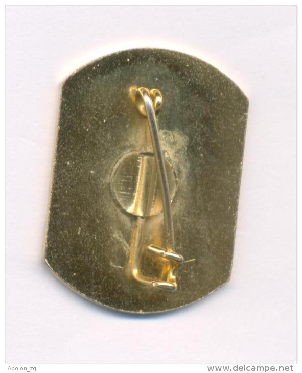 Climbing Mountaineering Alpinism - Club ''KAMNIK'' From Kamnik,  90. Years - Commemorative Pin Badge (1893-1983). - Alpinism, Mountaineering