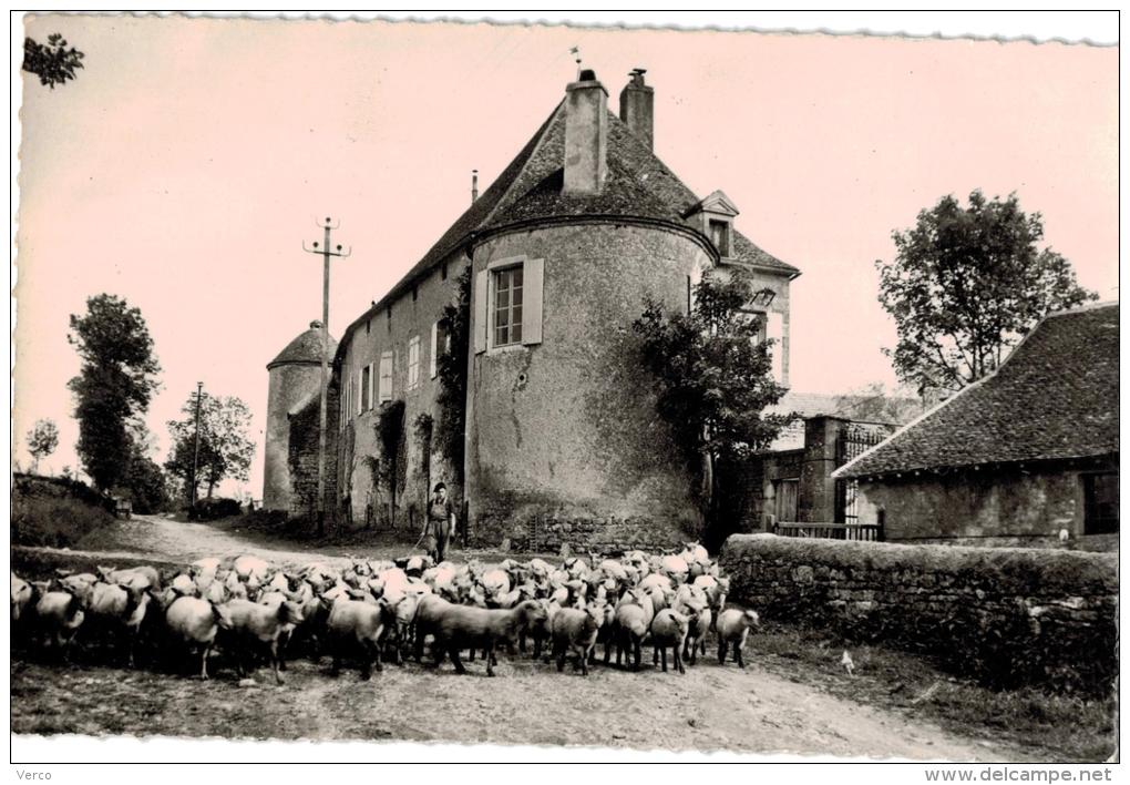 Carte Postale Ancienne De TANNAY - Tannay