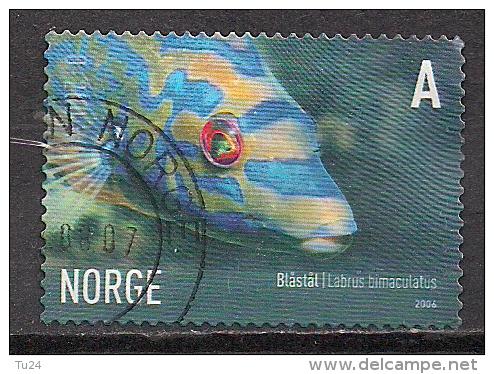 Norwegen  (2006)  Mi.Nr.  1590  Gest. / Used  (sk479) - Gebraucht