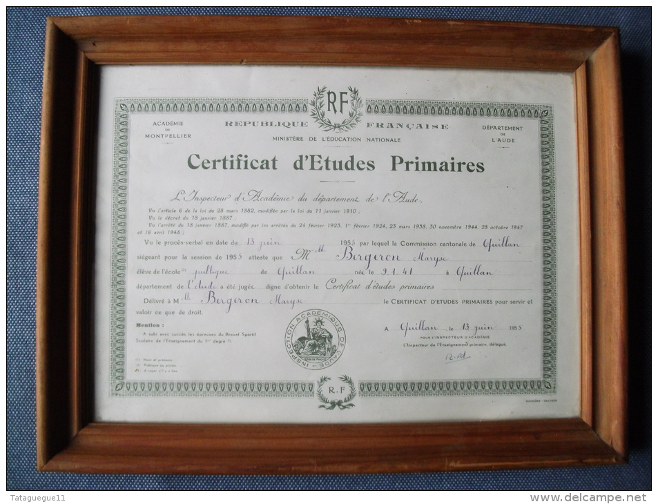 Ancien - Certificat D'Etudes Primaires Académie De L'Aude Quillan 1955 Cadre Bois - Diploma & School Reports