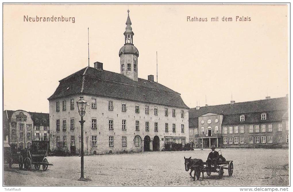 NEUBRANDENBURG Rathaus Mit Dem Palais Händler Mit Esel Karren Ackerwagen TOP-Erhaltung - Neubrandenburg
