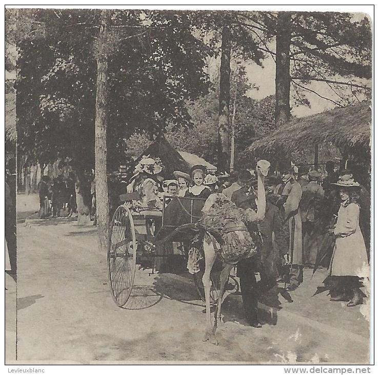 Carte Postale / Vue Stéréoscopique Julien DAMOY/Jardin D´acclimatation/voiture à Autruche/SérieN°6/Vers 1910   STE63 - Stereo-Photographie