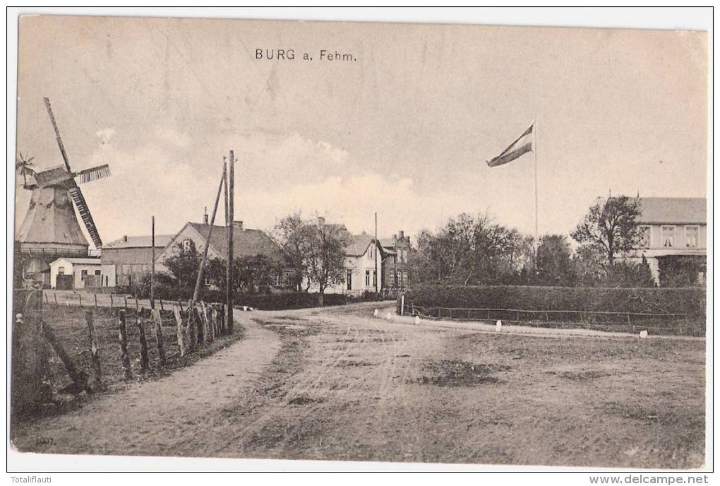Burg Auf Fehmarn Windmühle Mill Molen Moulin 22.7.1909 Gelaufen - Fehmarn