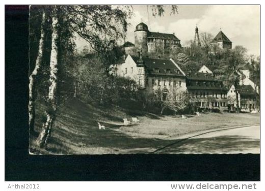 Mylau Vogtland Wohnhäuser Schule Burg Sw 1959 - Mylau