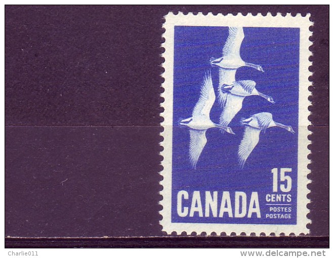 CANADIAN GEESE-15 C-CANADA-1963 - Ganzen