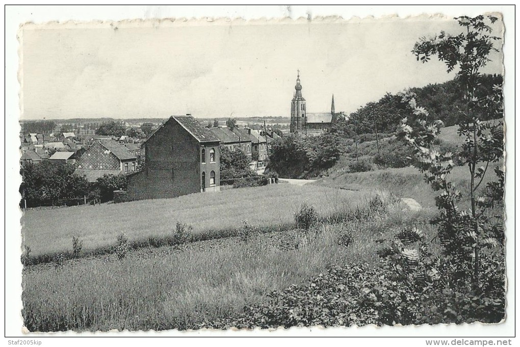 Aarschot - Panorama - 1964 - Nels - Aarschot