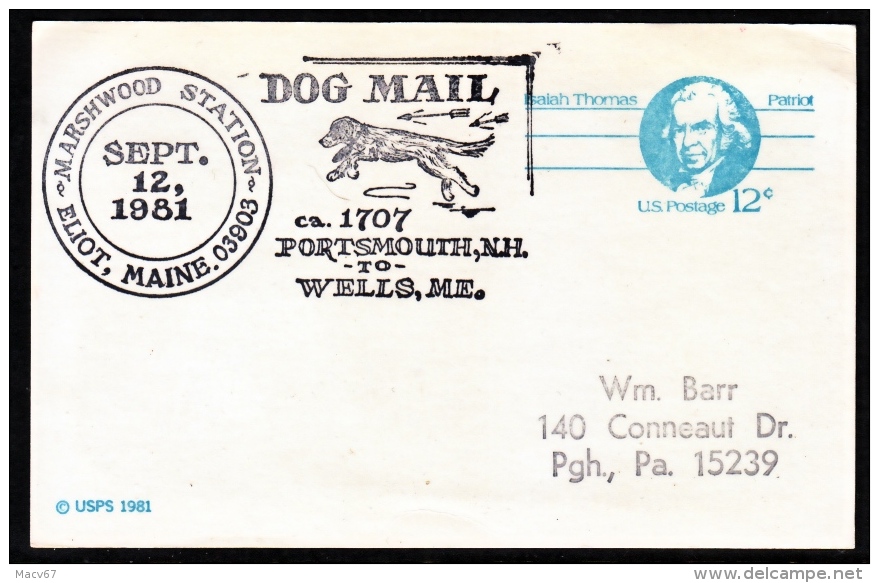 U.S.  DOG  MAIL  1981  MAINE - Covers & Documents