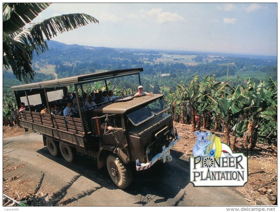 (124) Australia - NSW - Pioneer Banana Plantation - Coffs Harbour