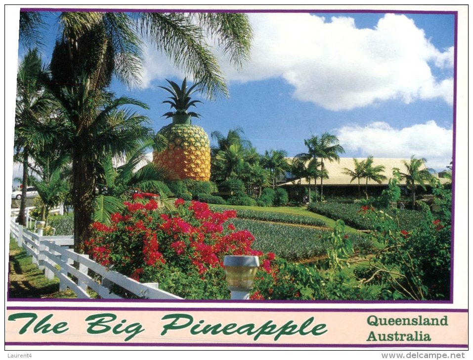 (124) Australia - QLD - Big Pineapple Gardens - Sunshine Coast