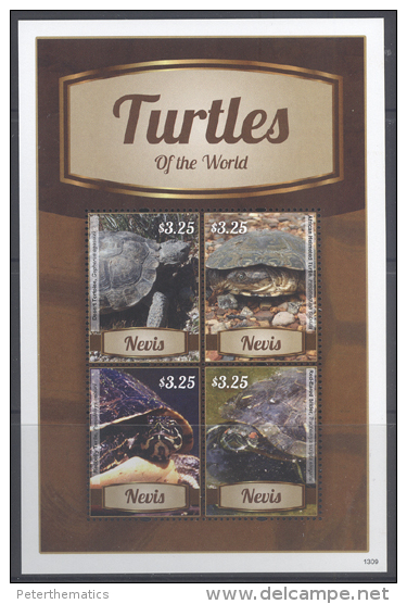 NEVIS,2013,TURTLES, TURTLES OF THE WORLD, SHEETLET+ S/SHEET, MNH , - Turtles