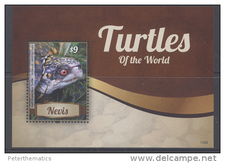 NEVIS,2013,TURTLES, TURTLES OF THE WORLD, SHEETLET+ S/SHEET, MNH , - Turtles
