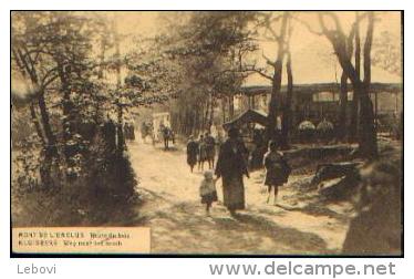 AMOUGIES « Mont De L’Enclus - Route Du Bois » Foto Etabl. Gyselynck, Kortrijk (vers 1932) - Mont-de-l'Enclus