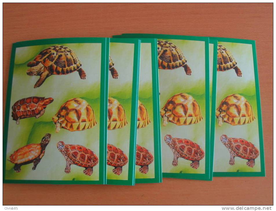 LOT CARTE POSTALE NEUVE THEME TORTUES  PAR 10 IDENTIQUES - Schildpadden