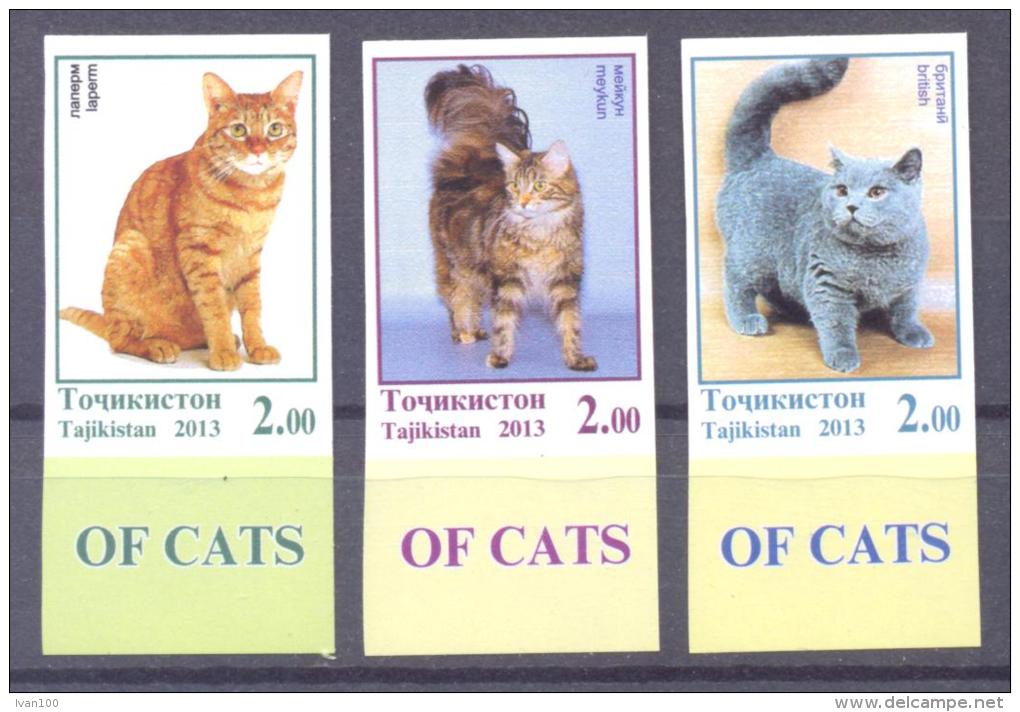 2013. Tajikistan, Cats, 4v IMPERFORATED, Mint/** - Tadjikistan