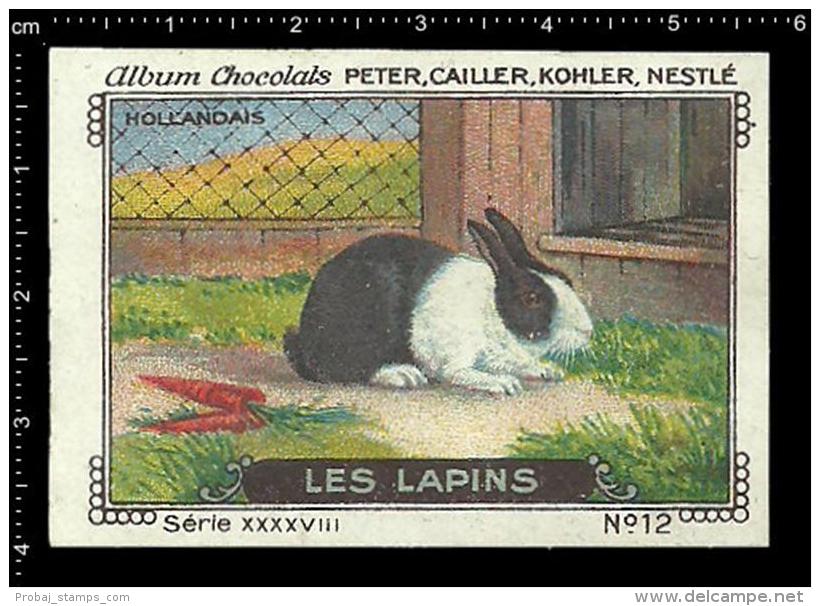 Old Original Swiss Poster Stamp (advertising Cinderella, Label) Nestle - Animals Les Lapins Rabbit Kaninchen Hase - Lapins