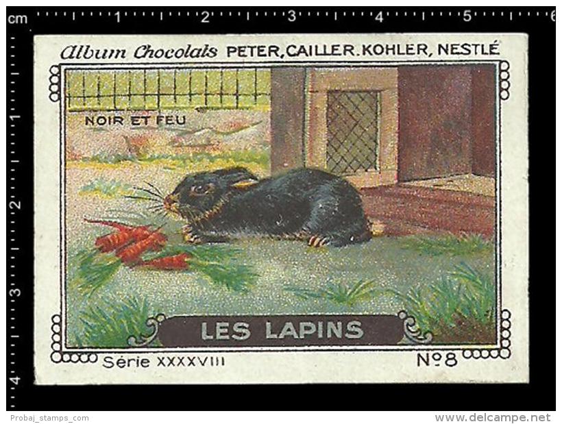 Old Original Swiss Poster Stamp (advertising Cinderella, Label) Nestle - Animals Les Lapins Rabbit Kaninchen Hase - Conejos