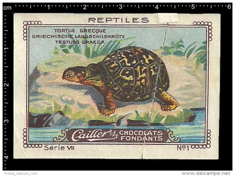 Old Original Swiss Poster Stamp (cinderella, Label) Nestle - Amphisbaena Reptiles Turtles Schildkröten Tortues - Turtles