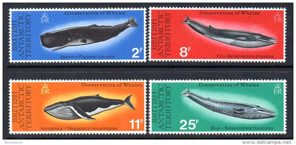 British Antarctic Territory BAT 1977 Whales Set Of 4, MNH - Ongebruikt