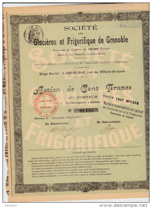 ACTION DE 100 FRANCS DES GLACIERES ET FRIGORIFIQUE DE GRENOBLE-1906 - Andere & Zonder Classificatie
