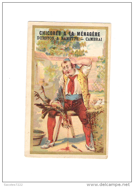 CHROMO CHICOREE A LA MENAGERE - PLUMEUR DE POULE -  COURBE-ROUZET - - Duroyon & Ramette
