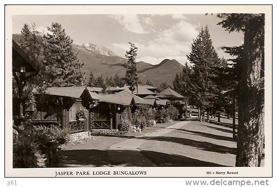JASPER PARK LODGE BUNGALOWS CPA ANNE 1940 / 1950 GLACEE COULEUR CARTE NEUVE NON VOYAGE - Jasper