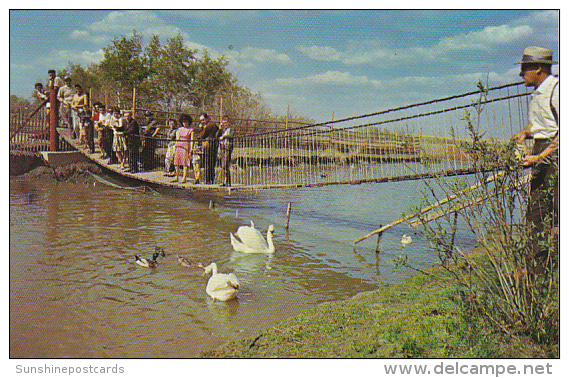 Canada Saskatoon Swinging Bridge Golden Gate Wild Animal &amp; Bird Park Sashatchewan - Autres & Non Classés