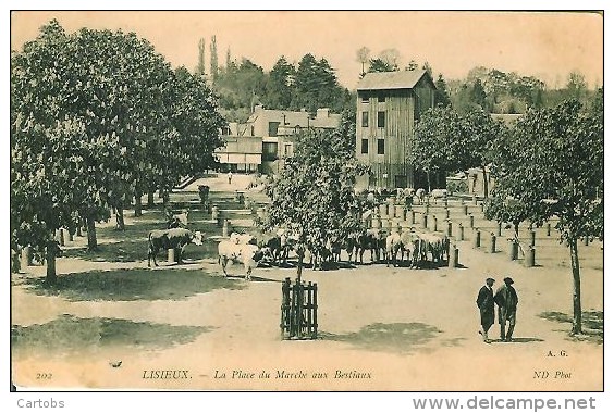 14 Lisieux La Place Du Marché Aux Bestiaux - Lisieux