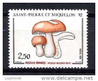 St PIERRE ET MIQUELON 1988, CHAMPIGNON, 1 Valeur, Neuf / Mint. Rbtejaune - Unused Stamps