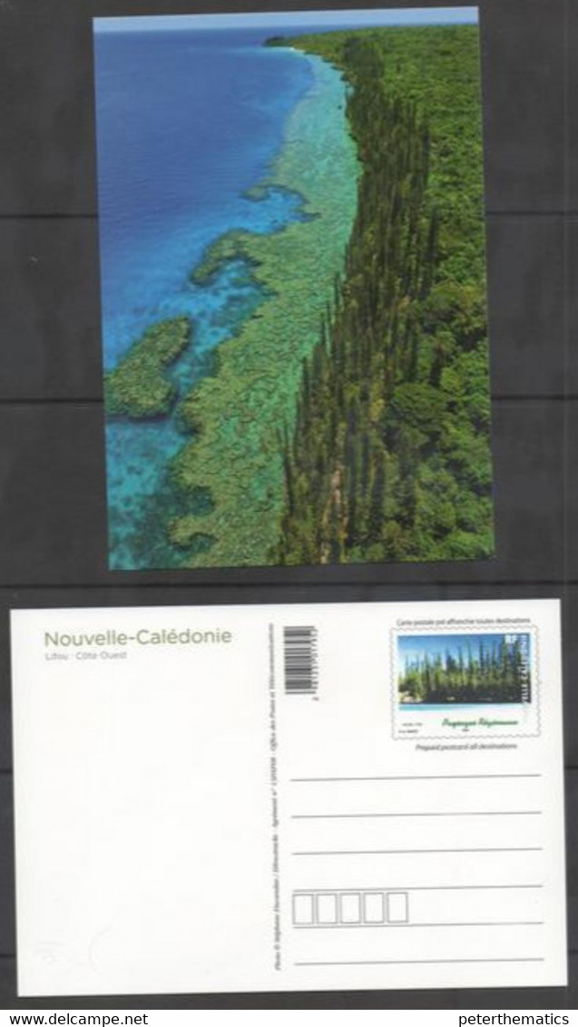 NEW CALEDONIA ,2013,  MNH, PRESTAMPED POSTCARD,LANDSCAPE, WEST COAST,LIFOU, TREES, COASTLINE. NICE! - Islands