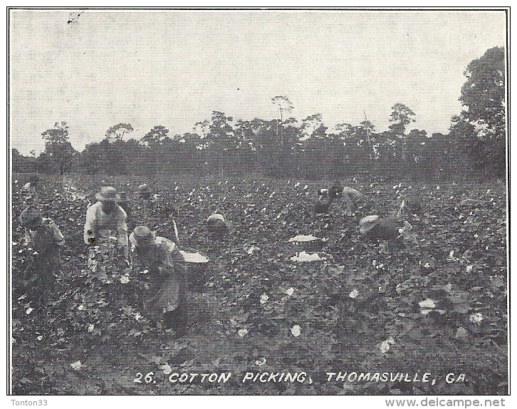 THOMASVILLE - GEORGIE - ETATS UNIS - Cotton Picking - CPA DOS SIMPLE INTROUVABLE - 111013 - - Autres & Non Classés