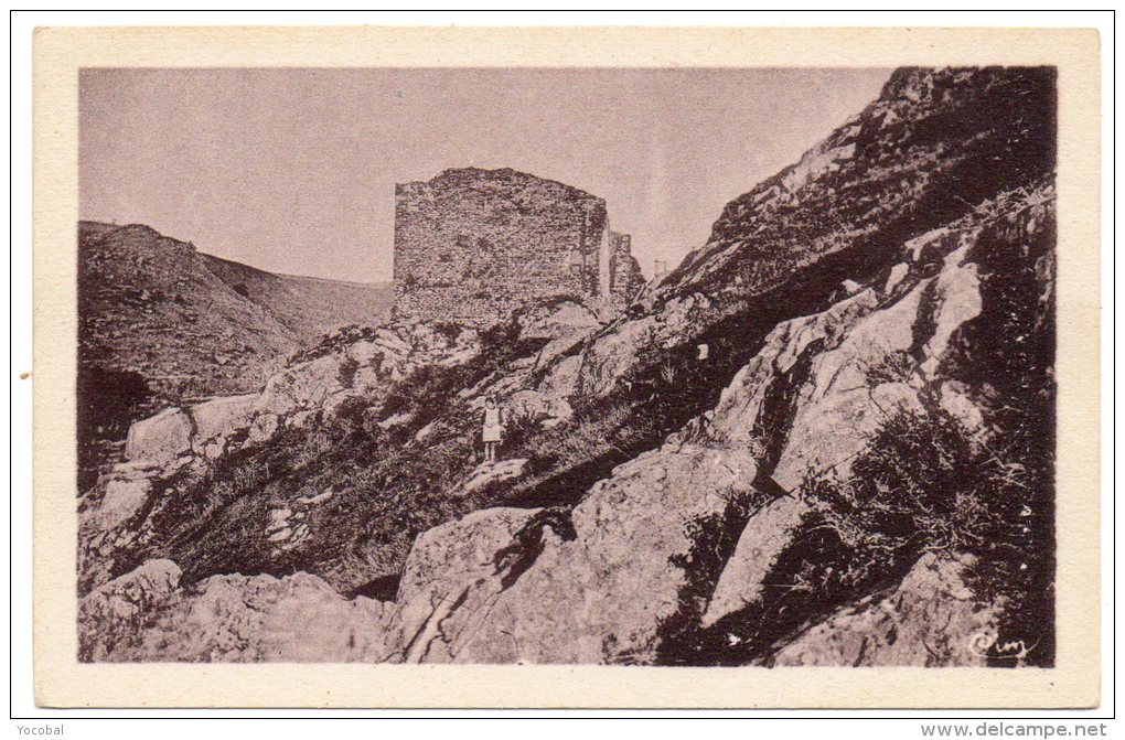 CP, 81, MAZAMET, Les Ruines Du Château Féodal D'Haupoul, Vierge - Mazamet