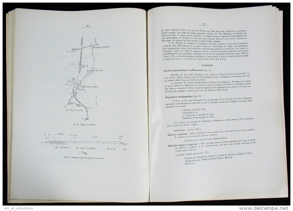 Études Stratigraphiques Sur Le DOGGER Et Le MALM Inférieur Du Portugal Du Nord Du Tage / Lisbonne 1961 - Arqueología