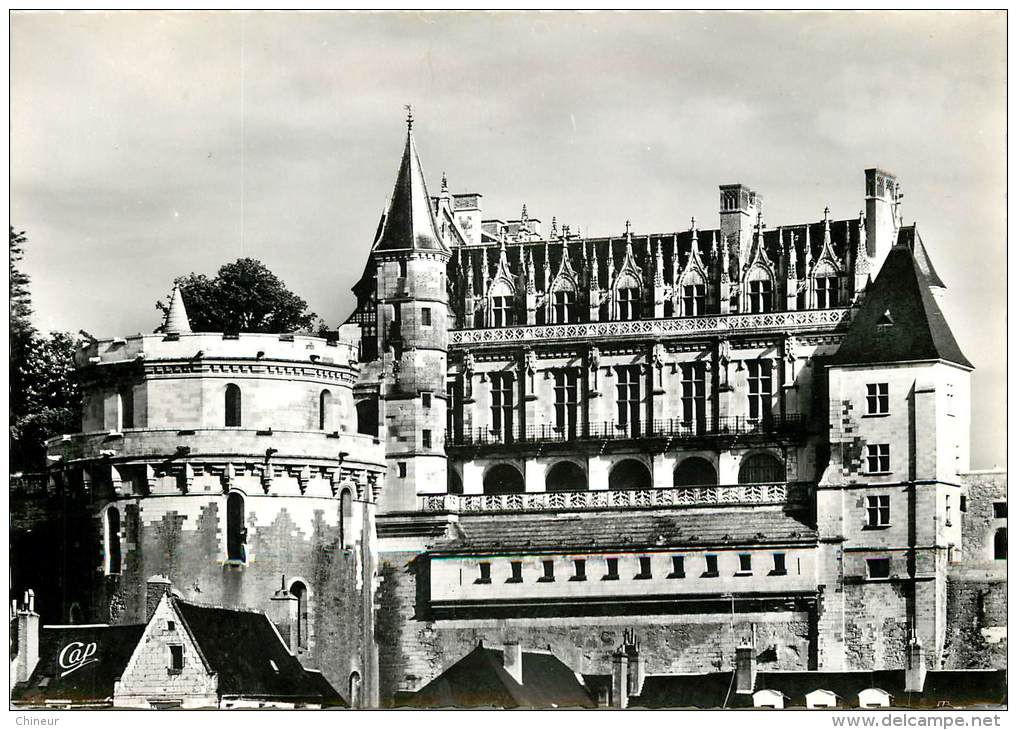 AMBOISE LE CHATEAU - Amboise