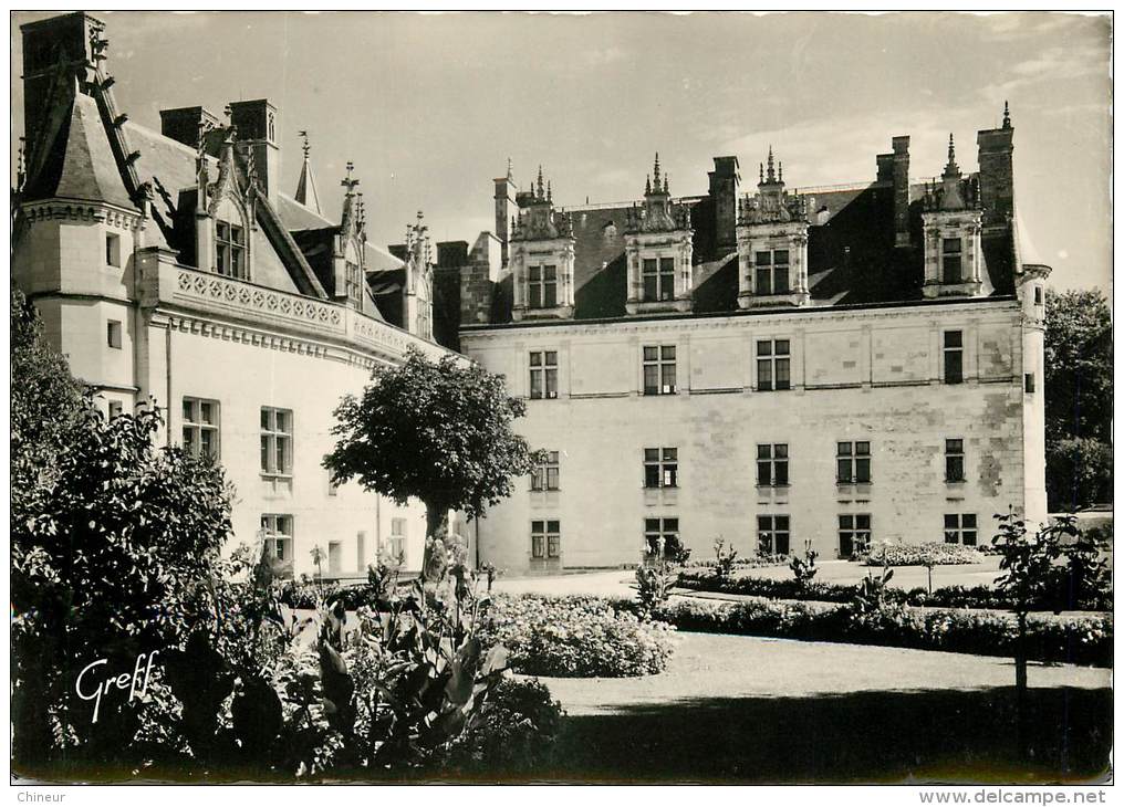 AMBOISE LE CHATEAU - Amboise