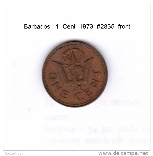 BARBADOS    1  CENT  1973  (KM # 10) - Barbados