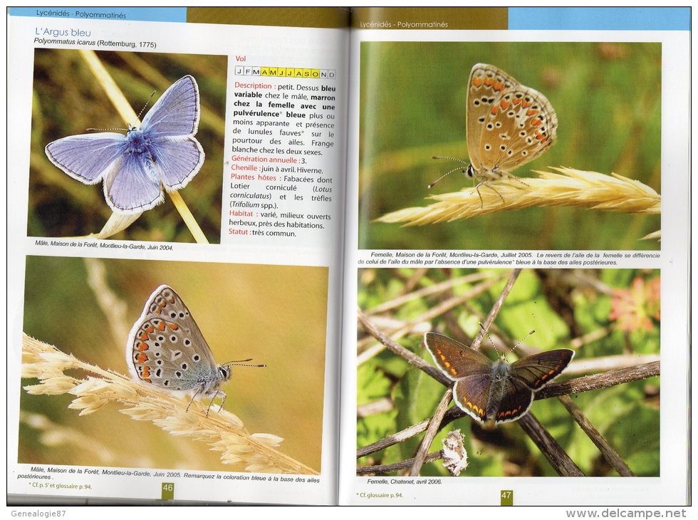 17 - LES PAPILLONS DE JOUR-PAPILLON- SAINTES -JONZAC- 61 ESPECES EN 200 PHOTOS- SAINTONGE - Poitou-Charentes