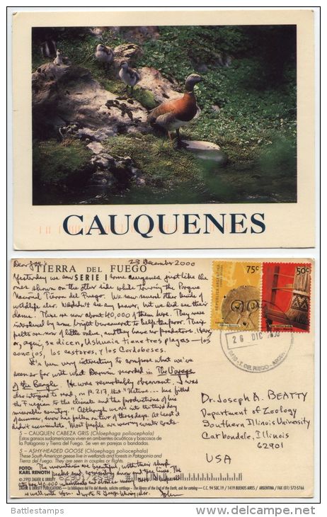 Argentina 2000 Postcard Cauquenes - Ashy-Headed Goose, Ushuaia Postmark - Uccelli