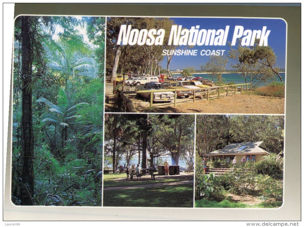 (357) Australia - QLD - Noosa - Sunshine Coast