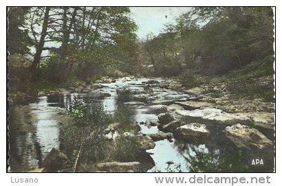 LA SALVETAT SUR AGOUT - Bords De L'Agout (carte Salie Au Verso) - La Salvetat