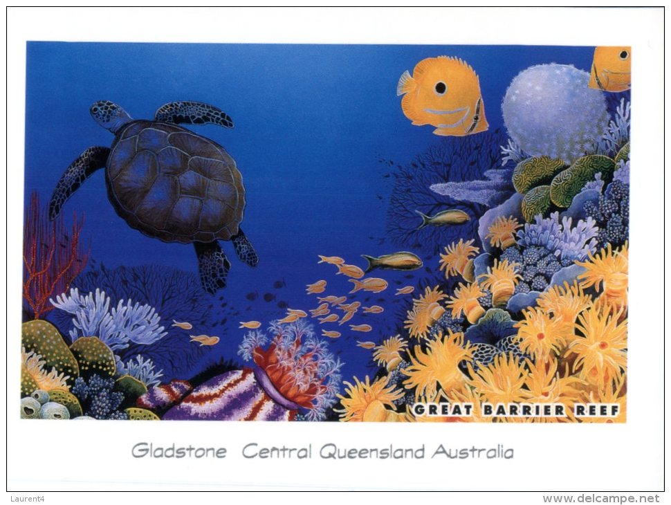 (468) Australia - QLD - Gladstone Great Barrier Reff - Tortoise - Tortue - Great Barrier Reef