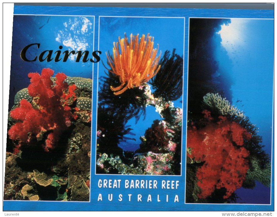 (468) Australia - QLD - Cairns Great Barrier Reef - Cairns