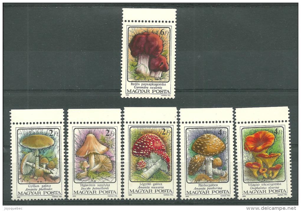 La Hongrie Neufs Sans Charniére   FUNGI - Unused Stamps