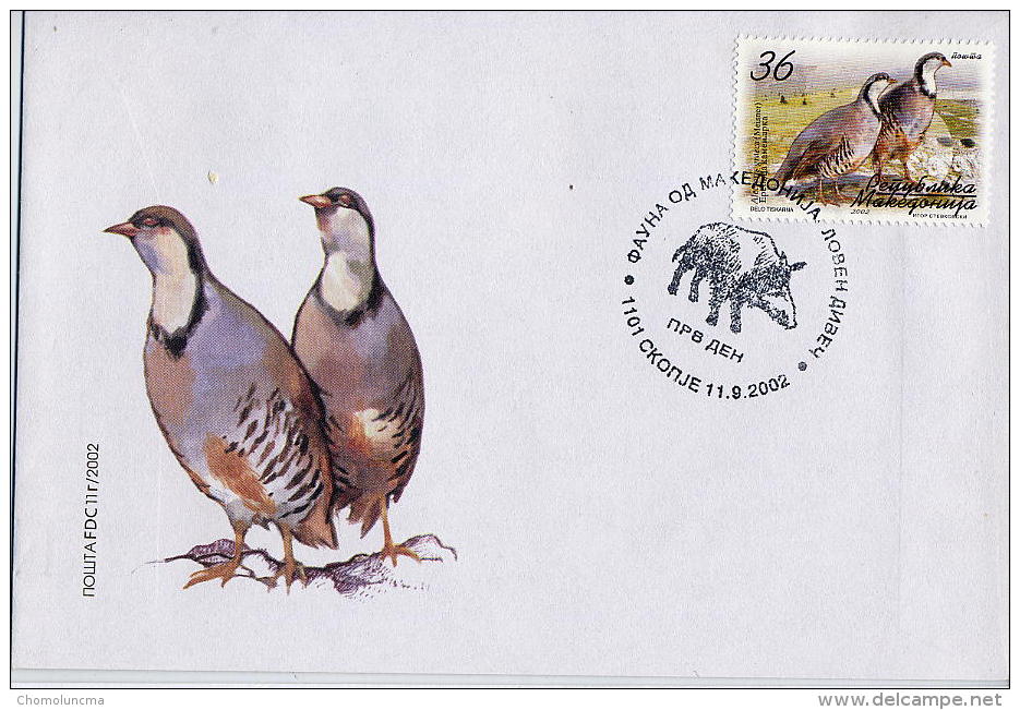 Oiseau Rock Partridge Steinhuhn Alectoris Graeca Perdrix Bartavelle - Perdrix, Cailles