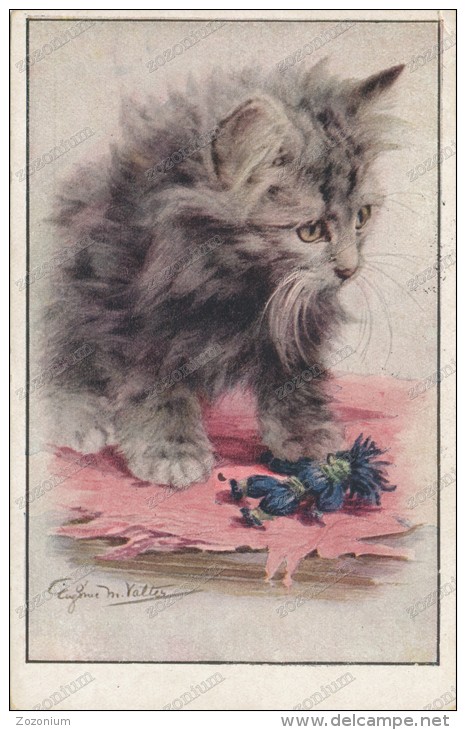 Chat - Cat By F.e.Valter "Who's Little Puss Are You?, Old  Postcard - Valter, Fl. E.