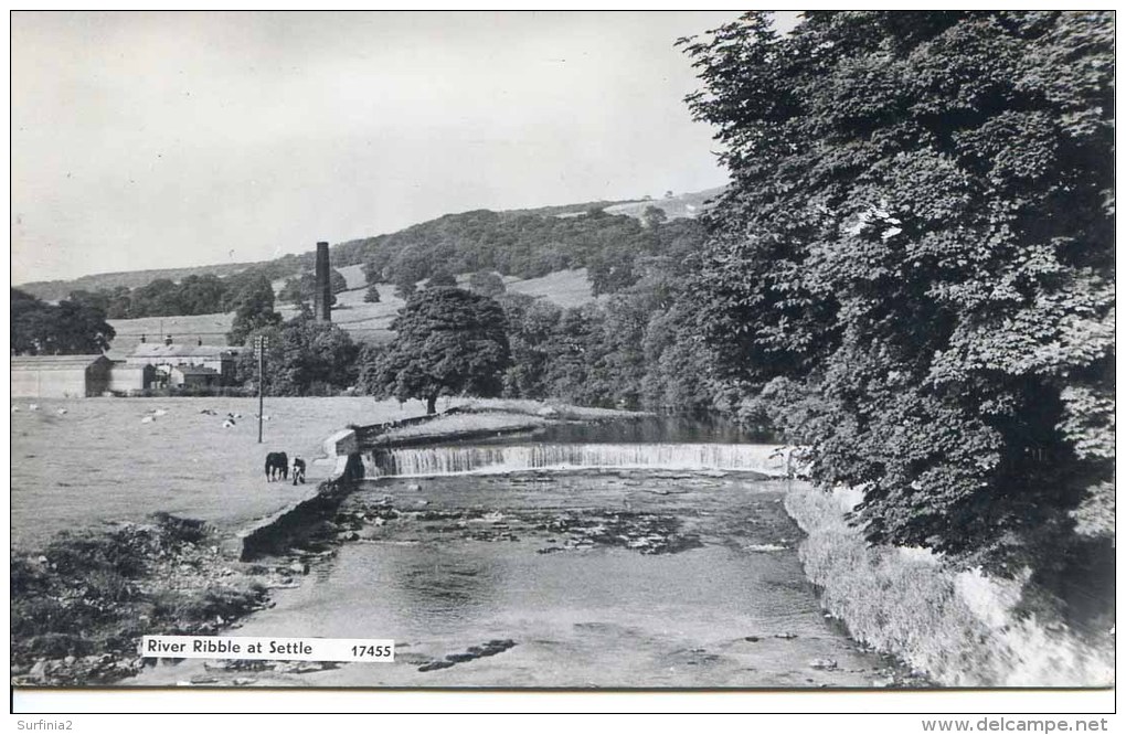 YORKS - RIVER RIBBLE AT SETTLE RP  Y1875 - Other & Unclassified