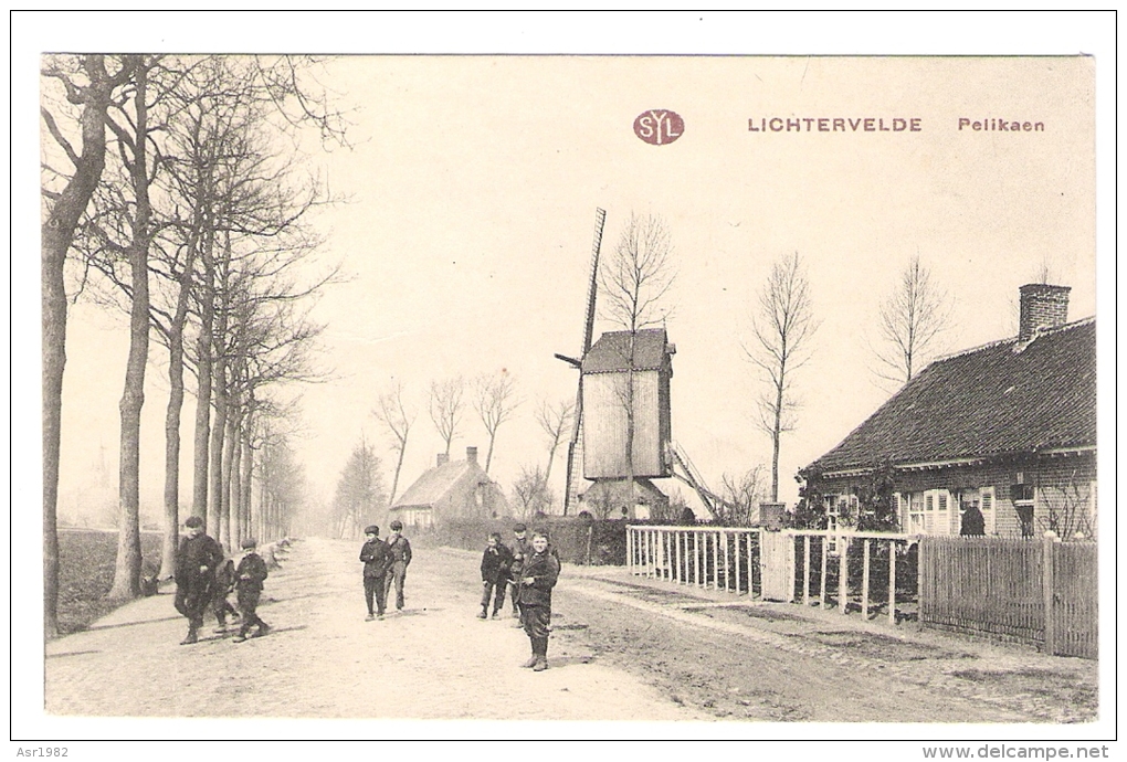 Lichtervelde : Pelikaan . ( Windmolen - Molen - Moulin ) . Staat : Perfect . Mooi Kaartje . ( Feldpost ) Zie Scan . - Lichtervelde